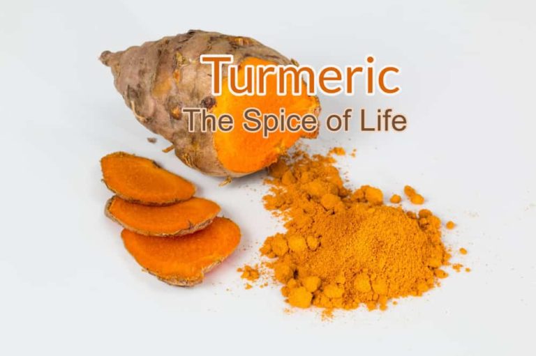 Turmeric - The Spice of Life - Carine Pieterse - Natural Health