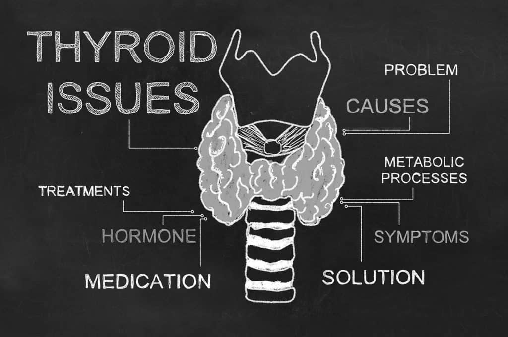 Thyroid Specialist | Hashimoto's Disease | Carine Pieterse - Natural Health | Naturopath Brisbane