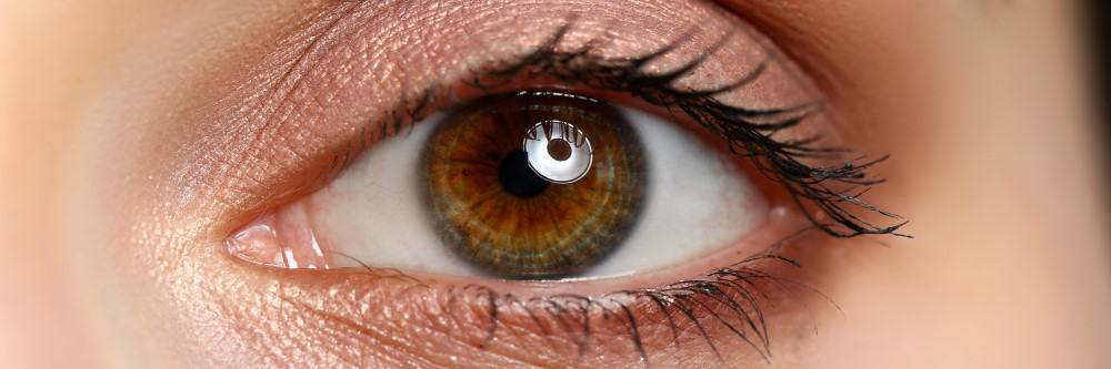 Closeup of female eye - brown colour | Qualified Iridologist Brisbane | Iridology - the study of the Iris